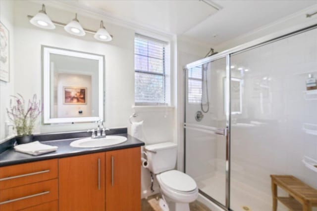 bathroom featuring a shower stall, toilet, and vanity