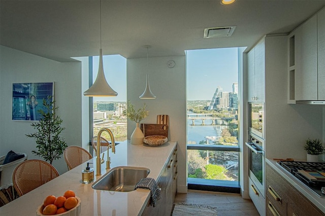 kitchen with stainless steel appliances, a sink, light countertops, light wood-type flooring, and a view of city