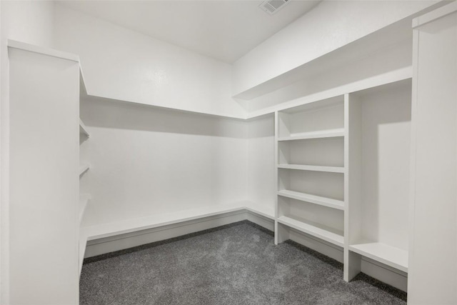 195 Bianca Cir, Del Valle, TX 78617 - spacious closet featuring dark colored carpet
