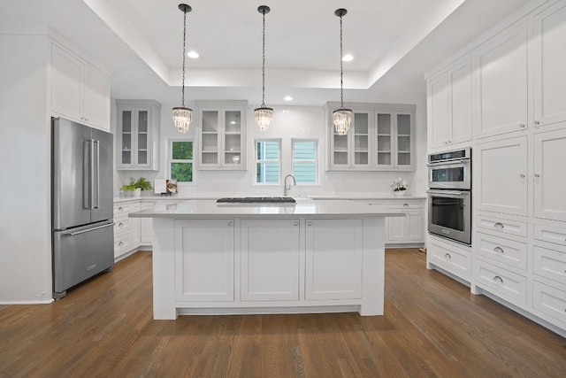 2110 Travis Heights Blvd, Austin, TX 78704 - kitchen with stainless steel appliances, a tray ceiling, a center island, light countertops, and recessed lighting