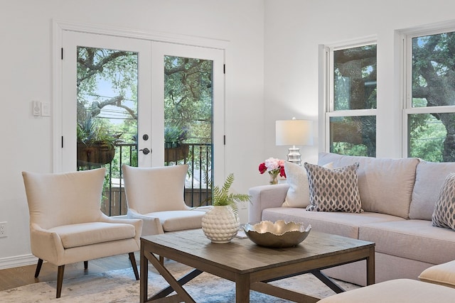 2110 Travis Heights Blvd, Austin, TX 78704 - living room featuring plenty of natural light and wood finished floors