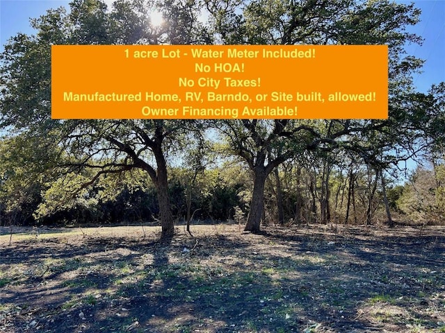 7528 County Road 330, Bertram, TX 78605
