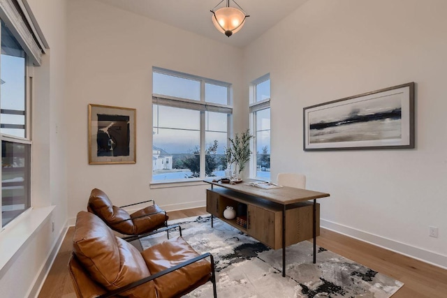 10928 Seawall Dr, Austin, TX 78737 - office featuring wood finished floors and baseboards