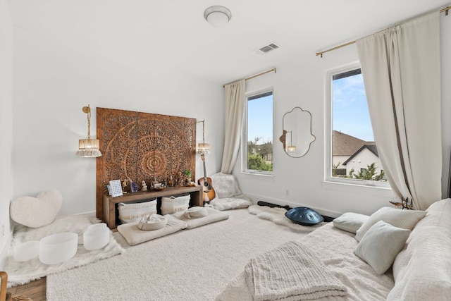 702 Serene Estates Dr, Austin, TX 78738 - bedroom with multiple windows and baseboards