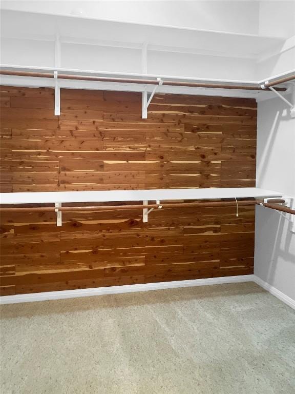 2804 Butler National Dr, Pflugerville, TX 78660 - walk in closet featuring carpet