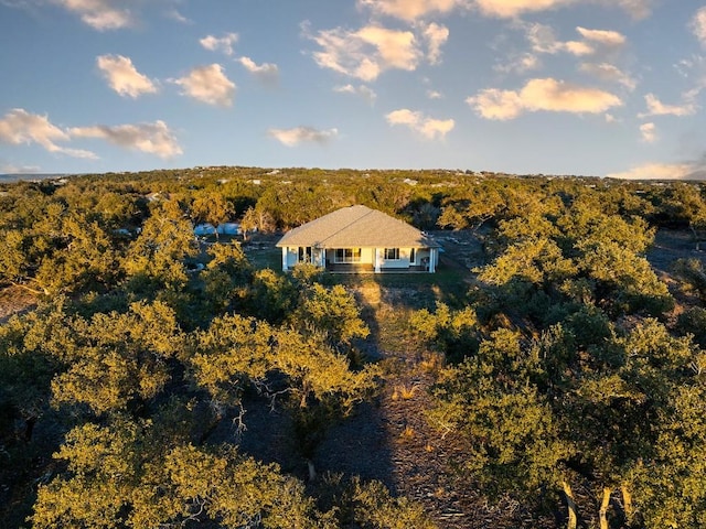21603 Thomas Cv, Lago Vista, TX 78645 - view from above of property