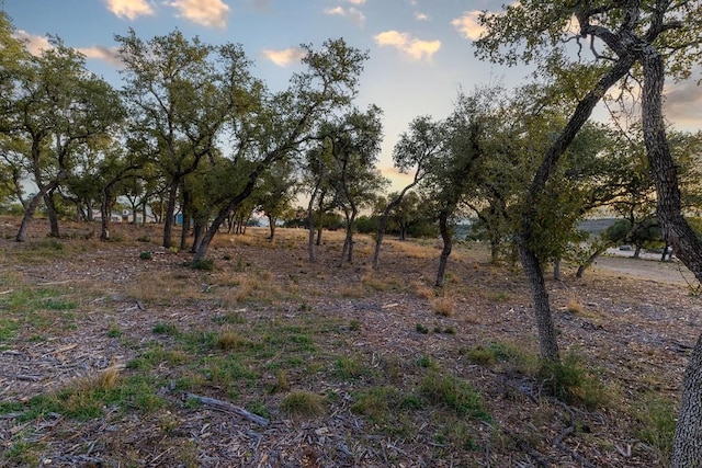 21603 Thomas Cv, Lago Vista, TX 78645 - nature at dusk with a view of rural / pastoral area