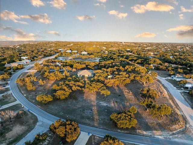 21603 Thomas Cv, Lago Vista, TX 78645 - drone / aerial view