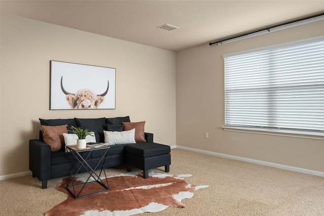 122 Denton Dr, Hutto, TX 78634 - living area with visible vents, baseboards, and carpet flooring