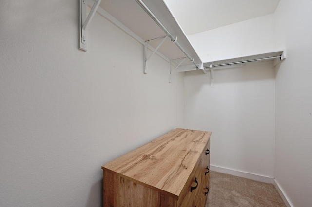 7004 Ashen Ln, Austin, TX 78747 - walk in closet featuring light carpet