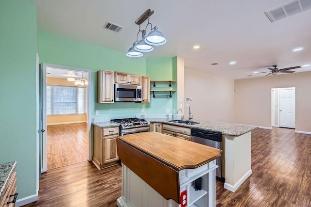 2708 Winding Brook Dr, Austin, TX 78748 - kitchen with appliances with stainless steel finishes, a sink, a peninsula, dark wood-type flooring, and recessed lighting