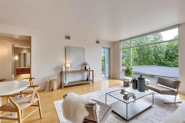 210 Lee Barton Dr Unit 308, Austin, TX 78704 - living area featuring light wood-style flooring and baseboards