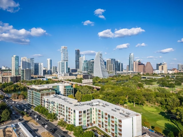 210 Lee Barton Dr Unit 308, Austin, TX 78704 - view of city skyline