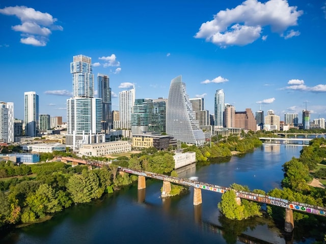 210 Lee Barton Dr Unit 308, Austin, TX 78704 - skyline view with a notable bridge and a nearby body of water