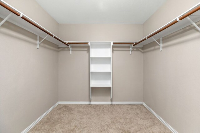 464 Evening Star, Kyle, TX 78640 - spacious closet featuring carpet