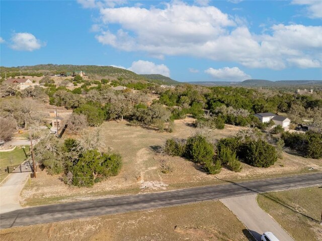12300 Montana Springs Dr, Marble Falls, TX 78654 - photo 14