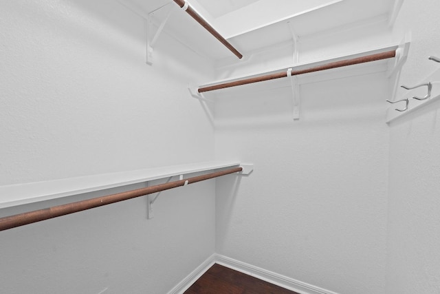 7685 Northcross Dr Unit 728, Austin, TX 78757 - walk in closet with dark wood-type flooring