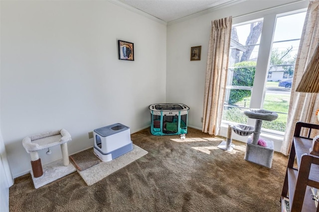 10116 Willfield Dr, Austin, TX 78753 - misc room with ornamental molding and carpet