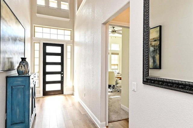 11912 Bayshore Cv, Austin, TX 78726 - photo 2