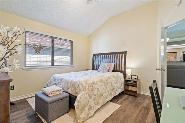 14300 Anita Marie Ln, Austin, TX 78728 - bedroom with wood finished floors and lofted ceiling