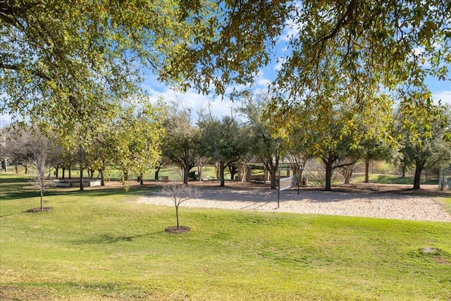 14300 Anita Marie Ln, Austin, TX 78728 - view of home's community featuring a lawn
