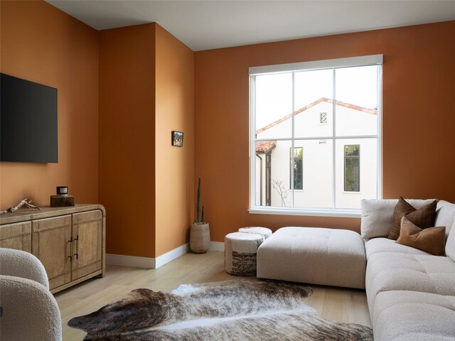 4401 Amarra Dr Unit 14, Austin, TX 78735 - living area with light wood-type flooring and baseboards