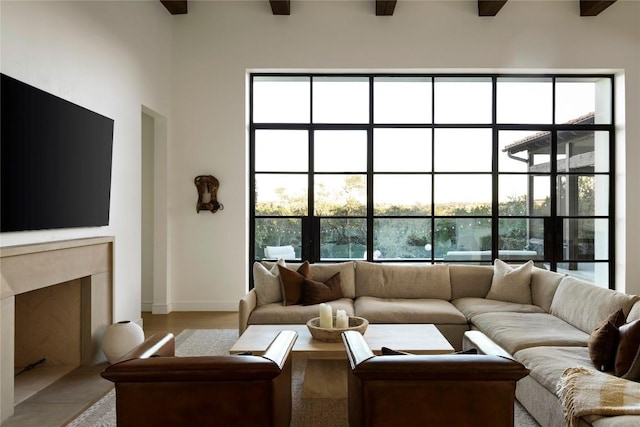 4401 Amarra Dr Unit 14, Austin, TX 78735 - living area featuring baseboards and a premium fireplace