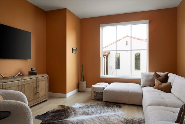 4401 Amarra Dr Unit 14, Austin, TX 78735 - living room featuring light wood-type flooring and baseboards