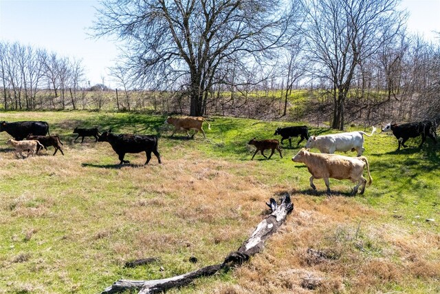 LOT1 N 7th St, Rosebud, TX 76570