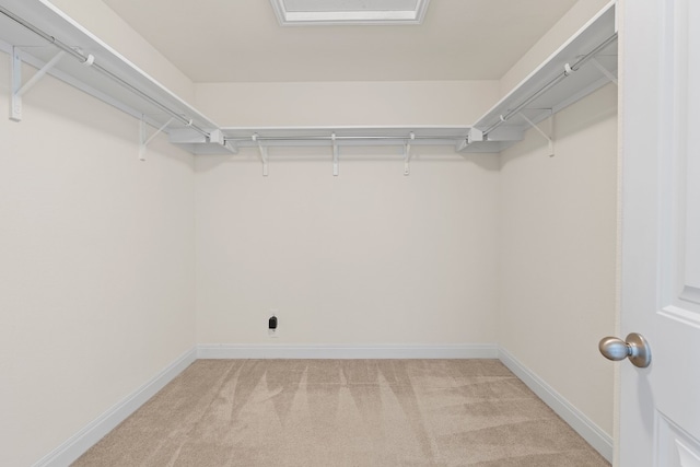 12923 Dwight Eisenhower St, Manor, TX 78653 - walk in closet featuring light colored carpet