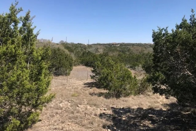 517 Left Fork Pl, Spring Branch, TX 78070 - photo 3