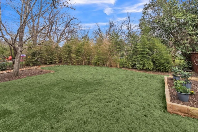 402 Irma Dr Unit B, Austin, TX 78752 - view of green lawn