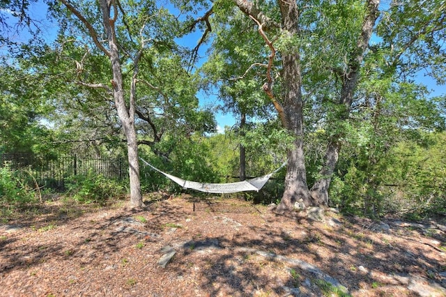view of nature