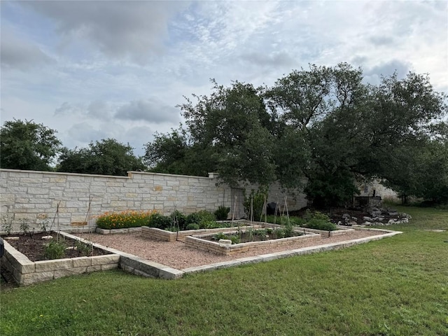 view of yard with a vegetable garden