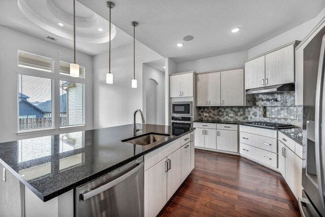 252 Sabino Dr, Buda, TX 78610 - kitchen with stainless steel appliances, a sink, under cabinet range hood, recessed lighting, and backsplash