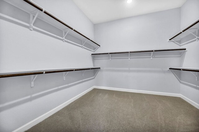 252 Sabino Dr, Buda, TX 78610 - walk in closet featuring carpet floors