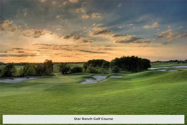 519 Tanda Ln, Hutto, TX 78634 - view of property's community with golf course view