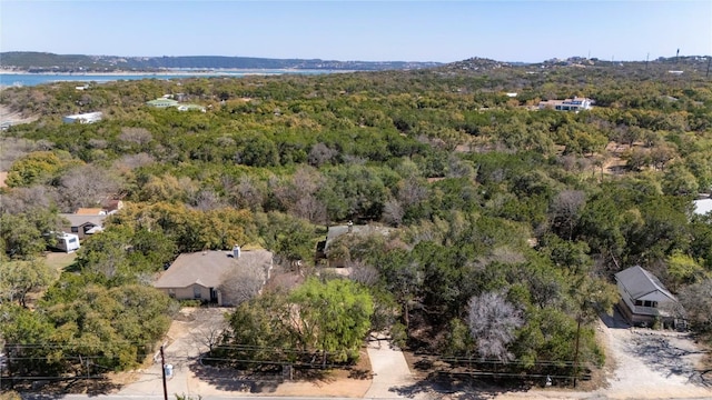 5709 Hudson Bend Rd, Austin, TX 78734 - drone / aerial view of a forest