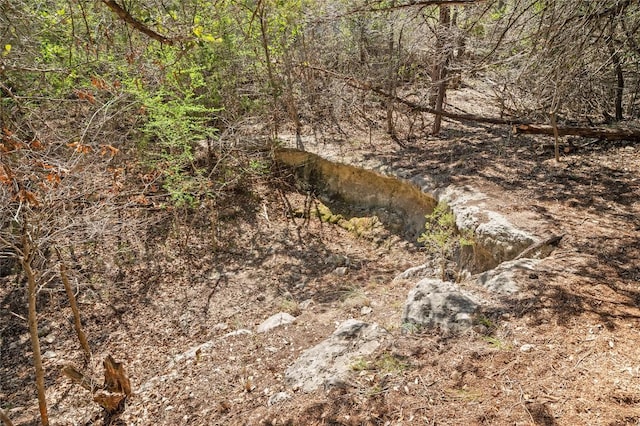 5709 Hudson Bend Rd, Austin, TX 78734 - view of nature
