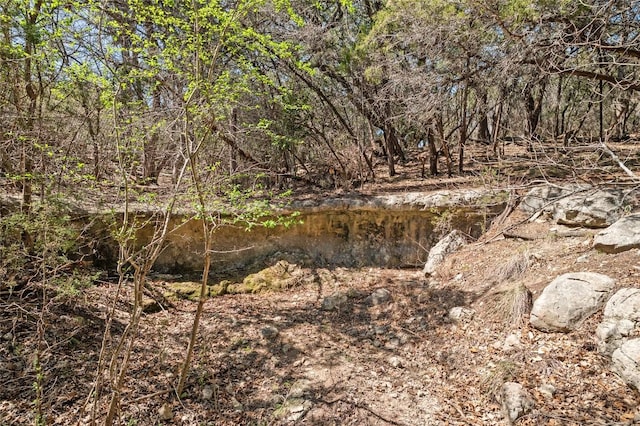 5709 Hudson Bend Rd, Austin, TX 78734 - view of local wilderness