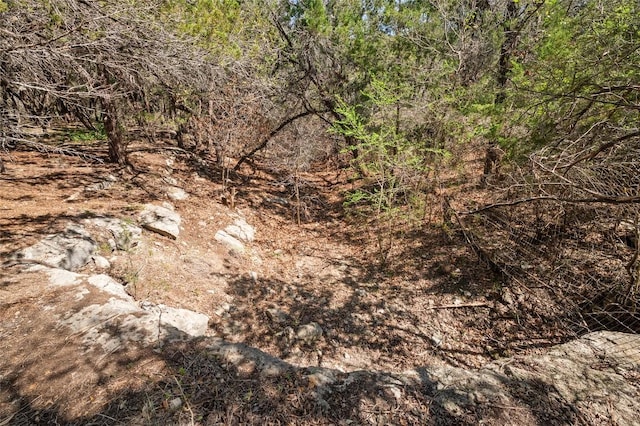 5709 Hudson Bend Rd, Austin, TX 78734 - view of undeveloped land