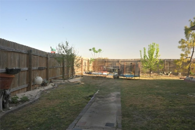 1400 Bess Cv, Leander, TX 78641 - fenced backyard with a trampoline
