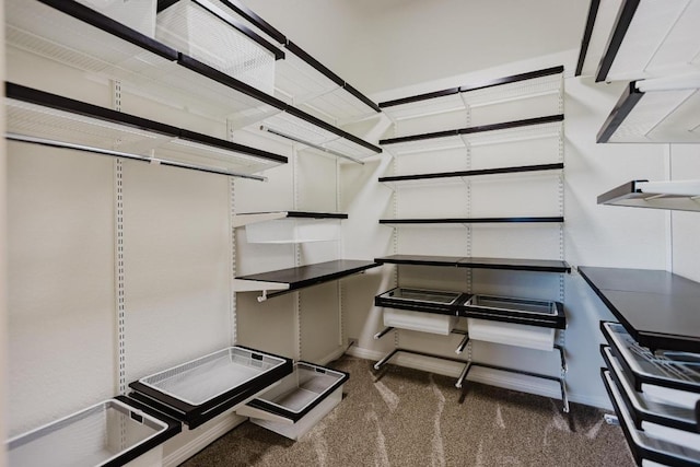 422 Village Commons Blvd, Georgetown, TX 78633 - spacious closet with carpet