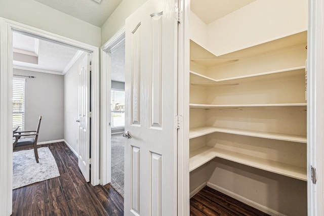 2502 Grey Kirby Dr, League City, TX 77573 - view of pantry
