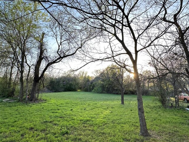 1916 Hill St, Bastrop, TX 78602 - photo 26