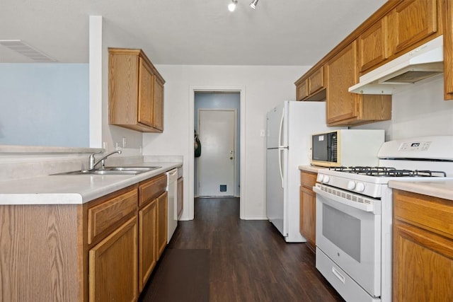 1631 Plume Grass Pl, Round Rock, TX 78665 - kitchen with white appliances, under cabinet range hood, a sink, dark wood-type flooring, and light countertops