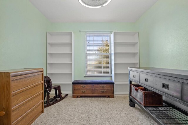 1631 Plume Grass Pl, Round Rock, TX 78665 - office area with carpet