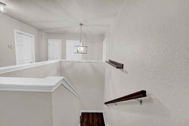 113 Endeavour, Kyle, TX 78640 - photo 17