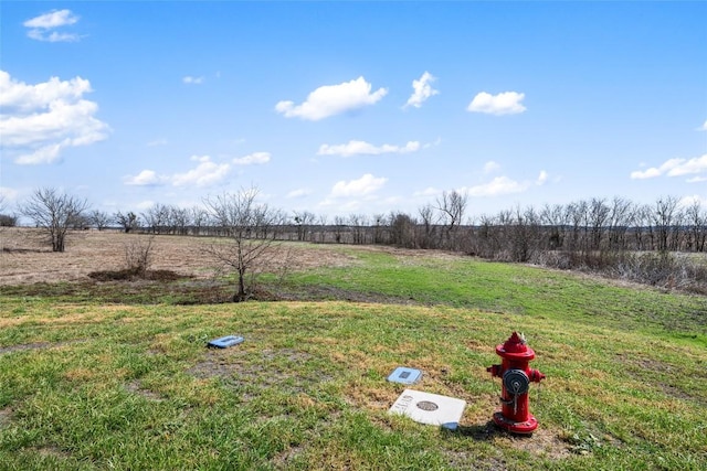 2558 E Fm 487, Jarrell, TX 76537 - photo 18
