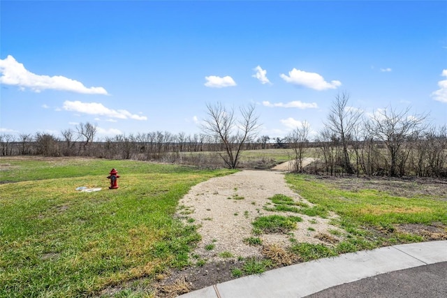 2558 E Fm 487, Jarrell, TX 76537 - photo 19